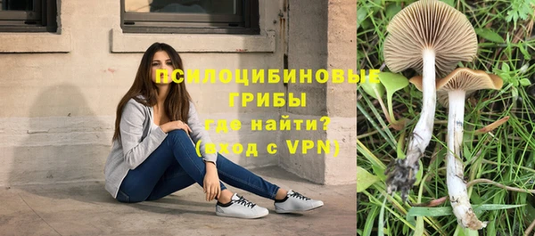 гашишное масло Покачи