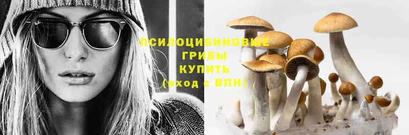 hydra ссылка  Волоколамск  Псилоцибиновые грибы Psilocybe 