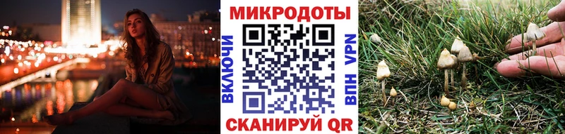 Галлюциногенные грибы Cubensis ОМГ ОМГ ONION Волоколамск