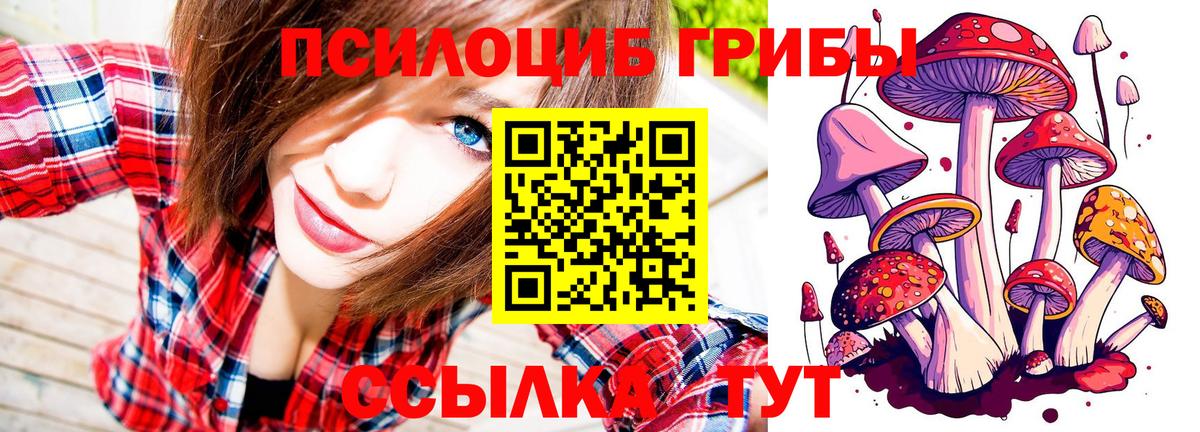 Псилоцибиновые грибы MAGIC MUSHROOMS  Волоколамск 