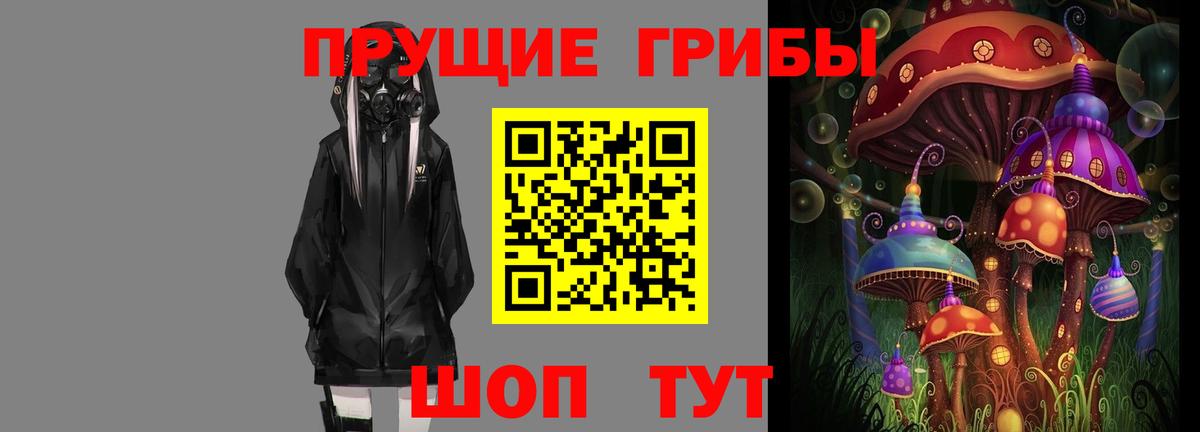 Псилоцибиновые грибы Cubensis  Вход с VPN  Волоколамск 